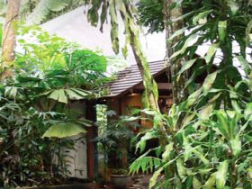 Heritage Lodge And Spa - In The Daintree - Accommodation Tasmania