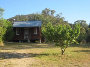 Peach Tree Cabin - Accommodation Tasmania