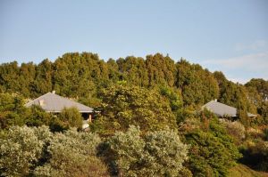 Tallaringa Views - Accommodation Tasmania