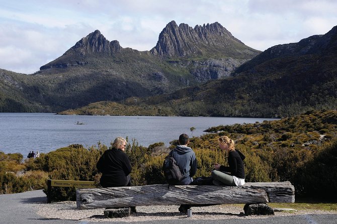 Cruise Ship Special from Burnie to Cradle Mountain - Accommodation Tasmania